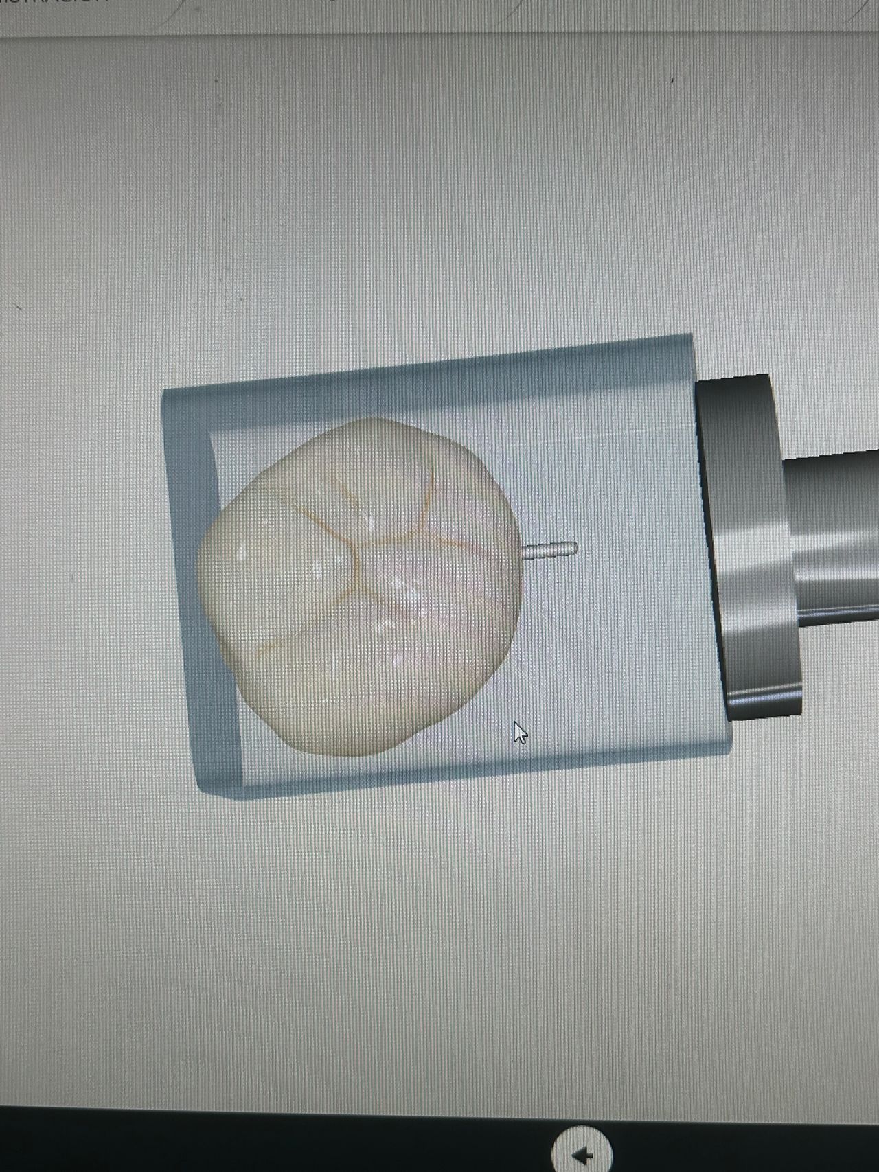 Miguel Iñigo Ramírez De Alba-0