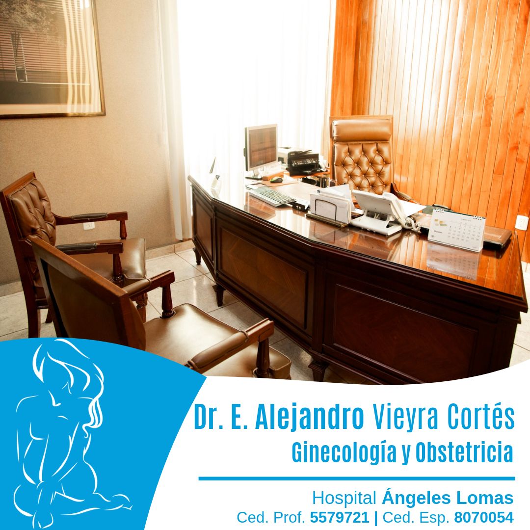 Edmundo Alejandro Vieyra Cortes-6