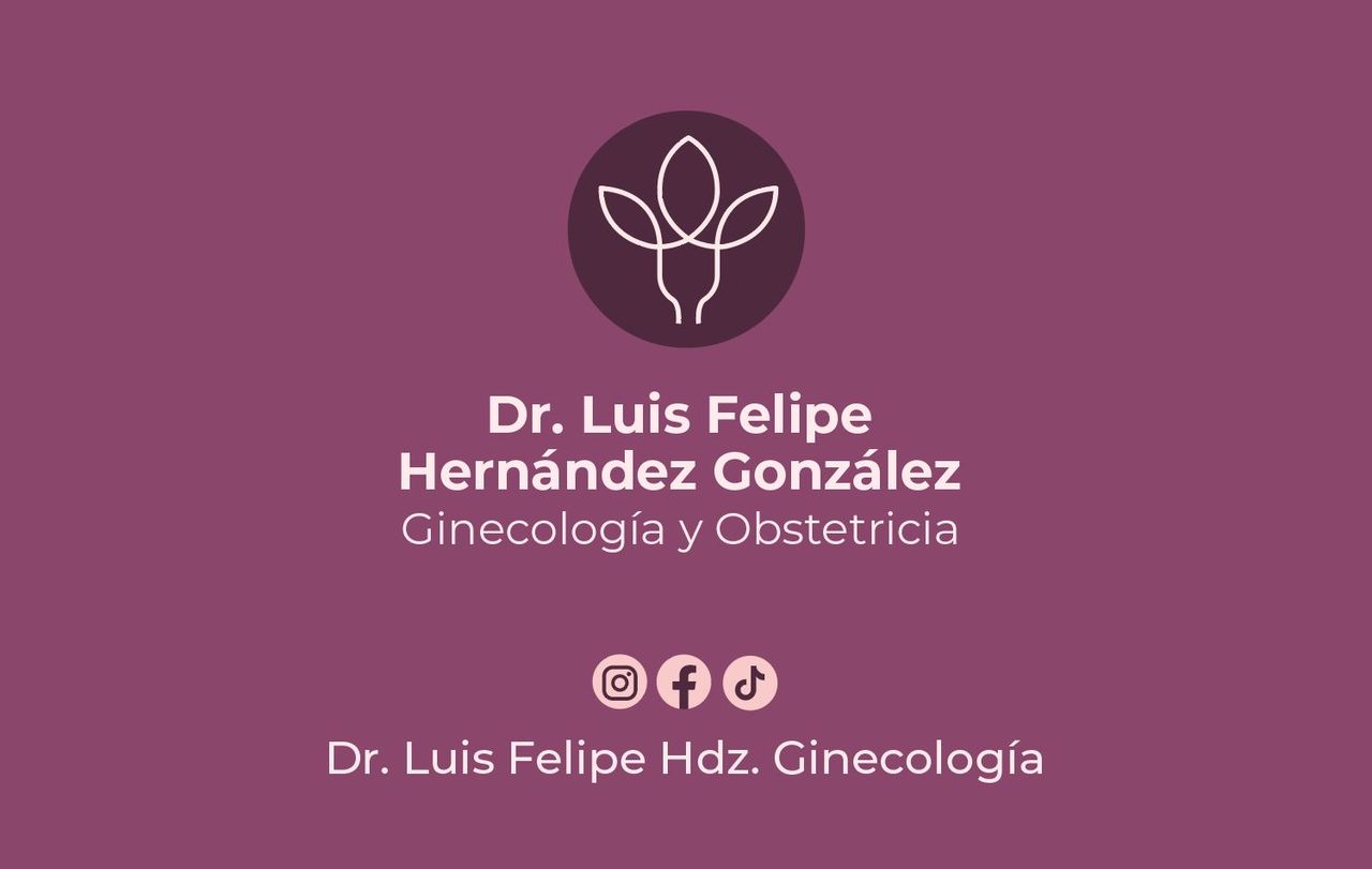 Luis Felipe Hernández González-8