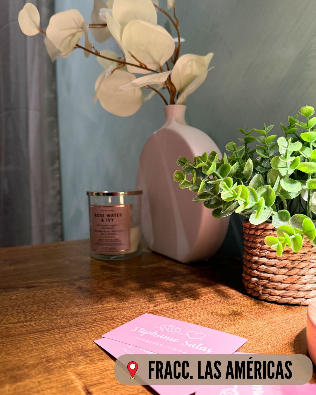 Stephanie Friné Salas Tejero-12