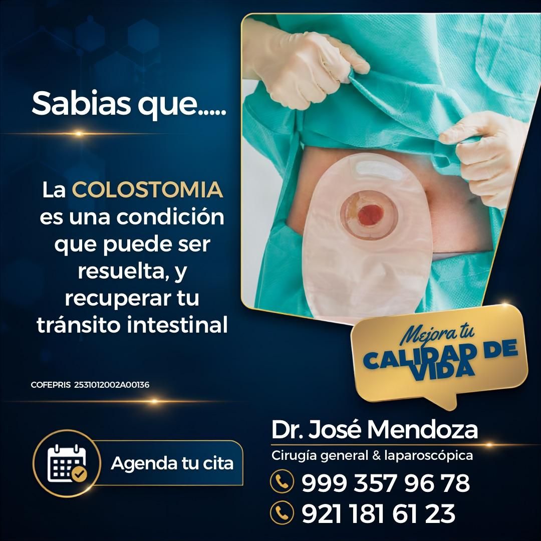 José De Jesus Mendoza Palomec-26