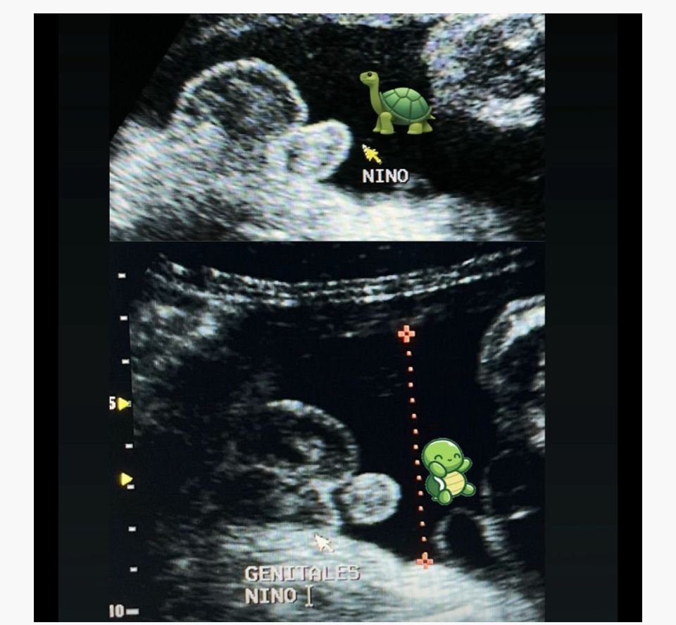 Ana Itzel Gaona Guevara-1