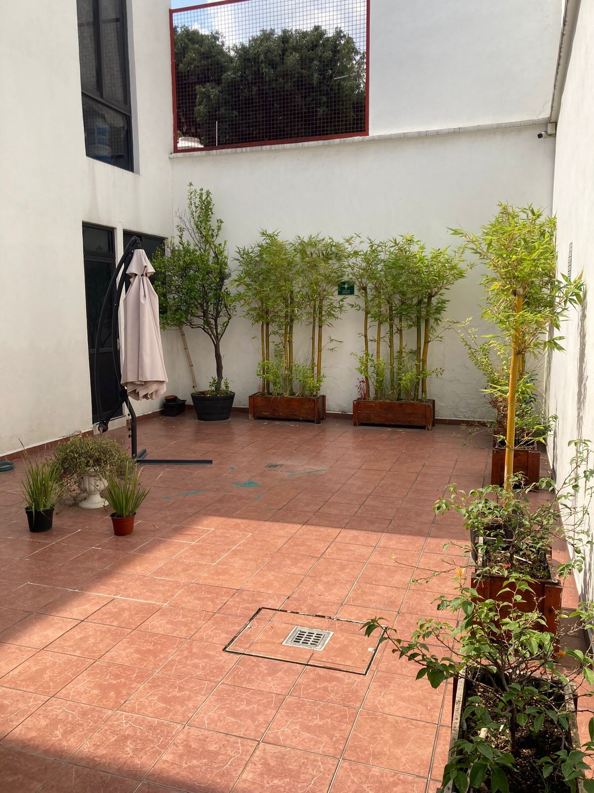 Veronica Mafud Pérez-4