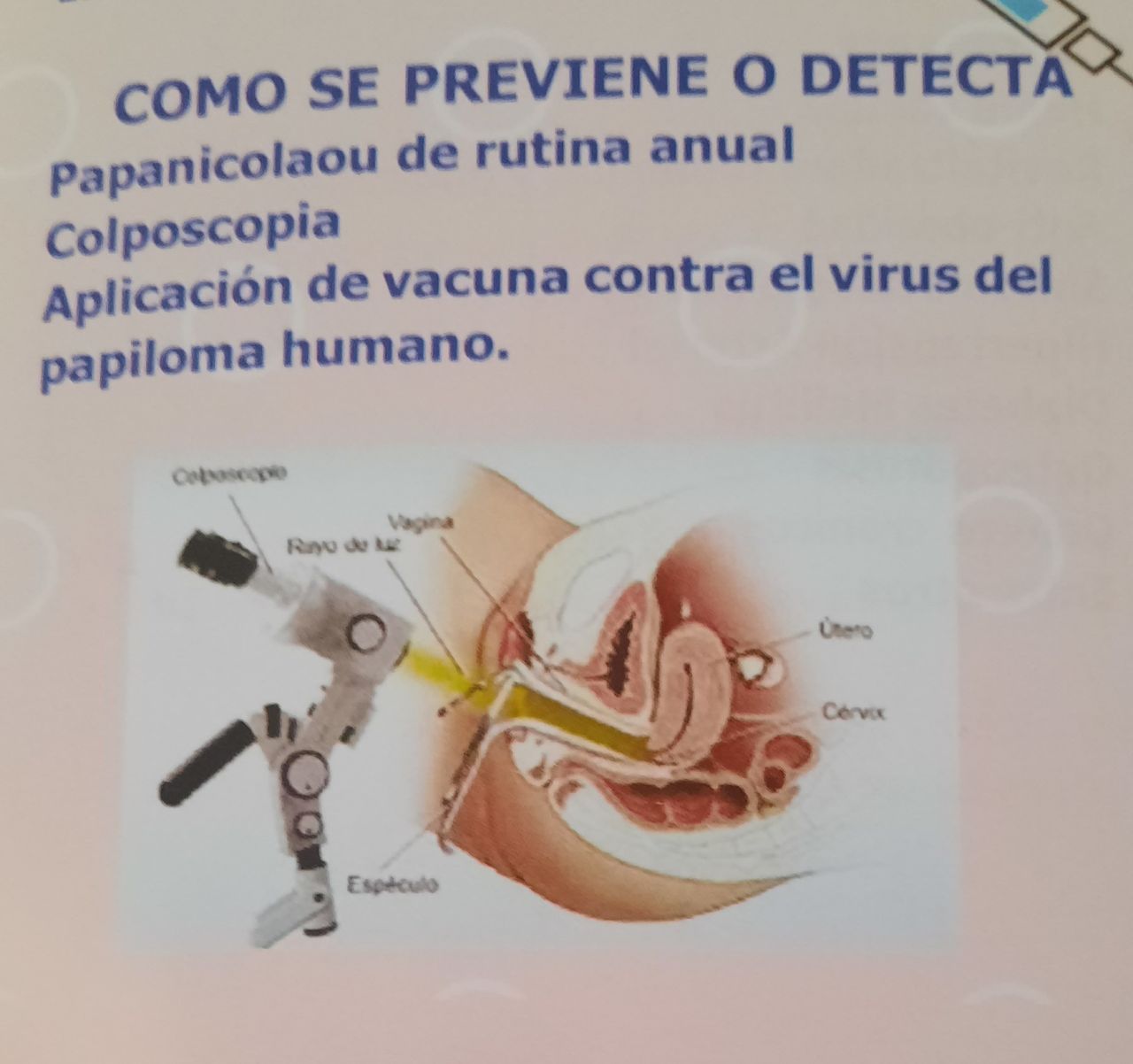 E. Carmina Rodriguez Contreras-1