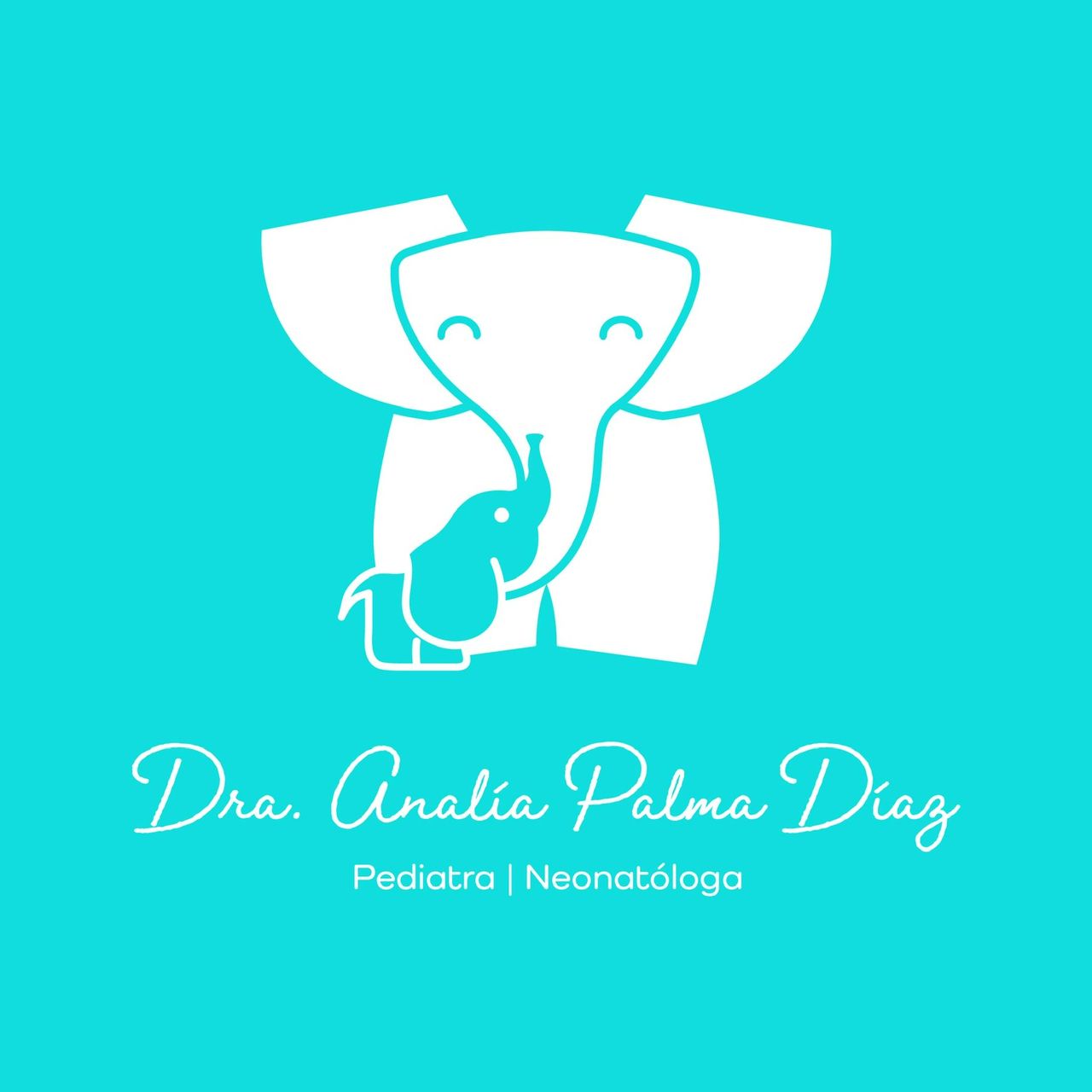 Analía Palma Diaz-5