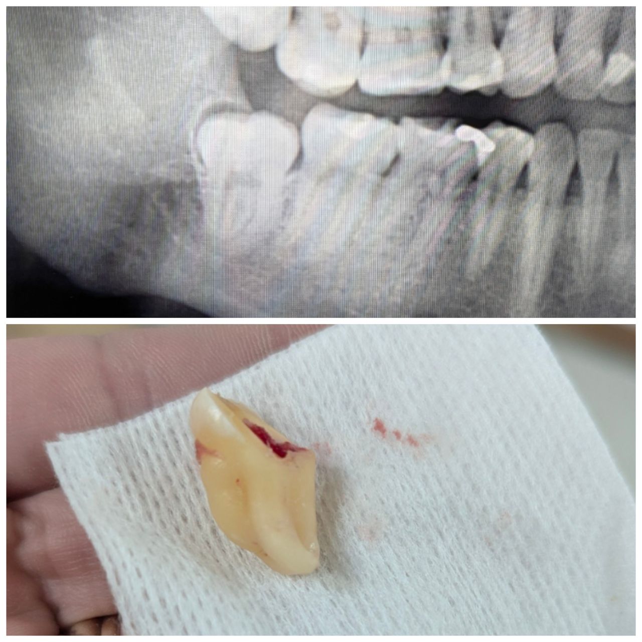 Yaritza Isabel Viera Ochoa-11