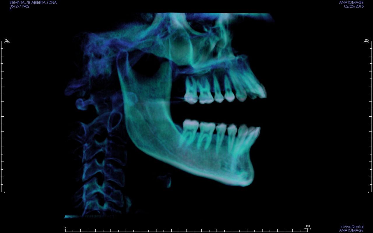 José Sayavedra Jaimes-52