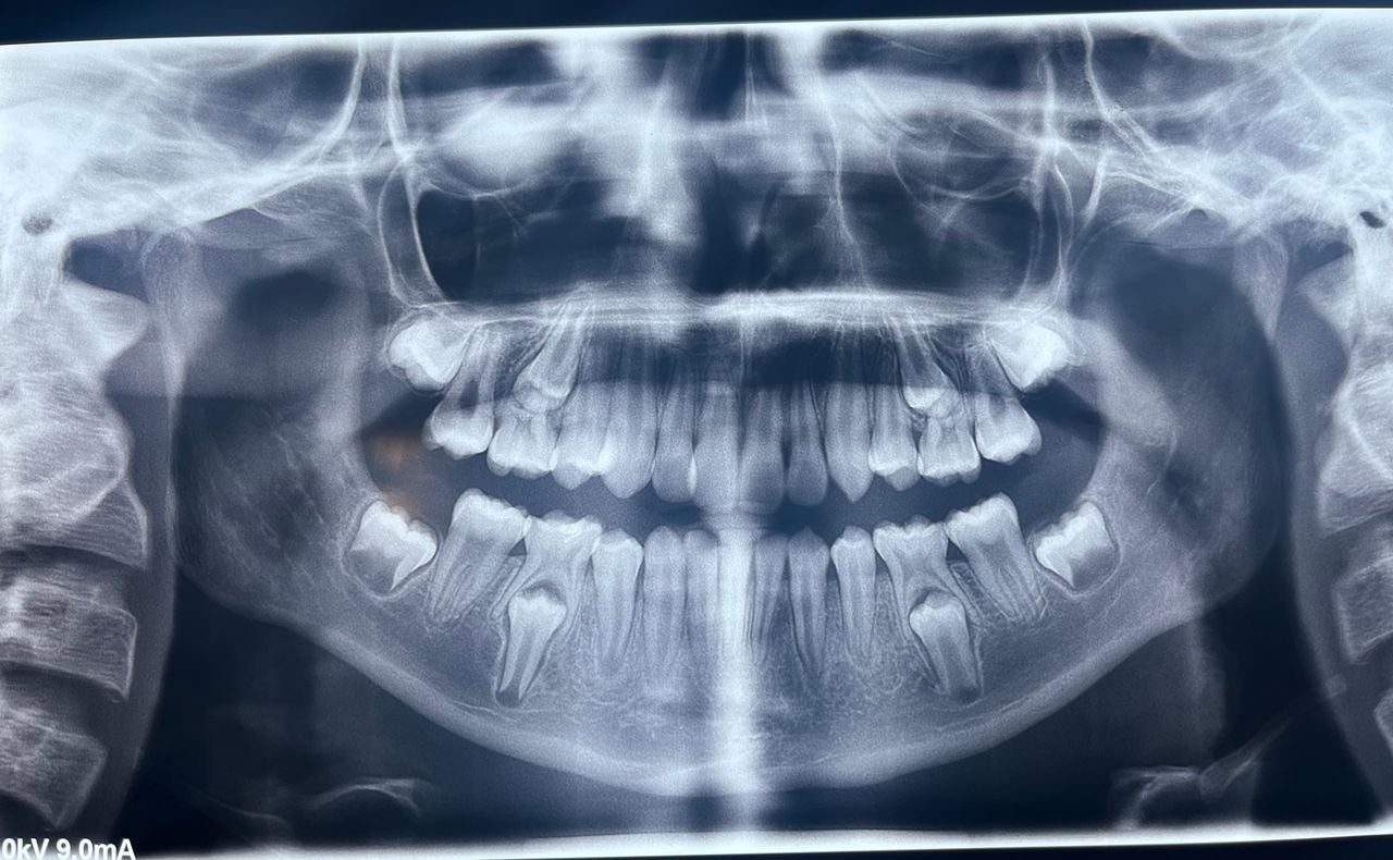 Alicia Araceli Navarro Burguete-20