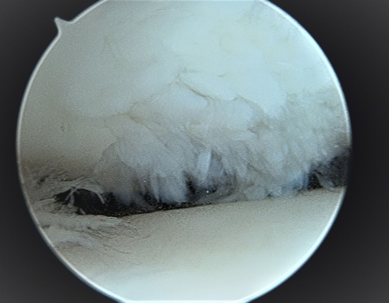 José Antonio Algarín Reyes-33