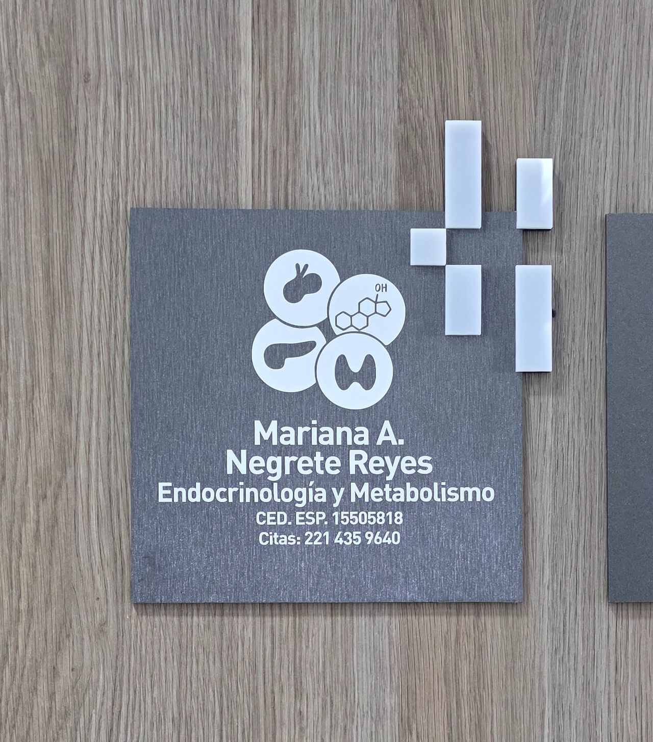 Mariana A. Negrete Reyes-6
