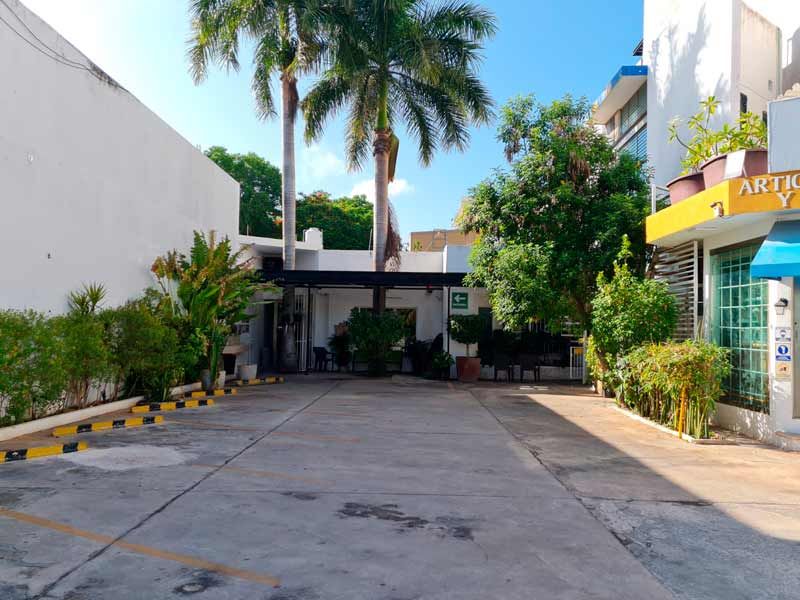 Ángeles Martínez Sesma-1