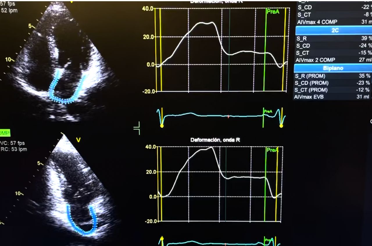 Erik Eduardo Briceño Gómez-2