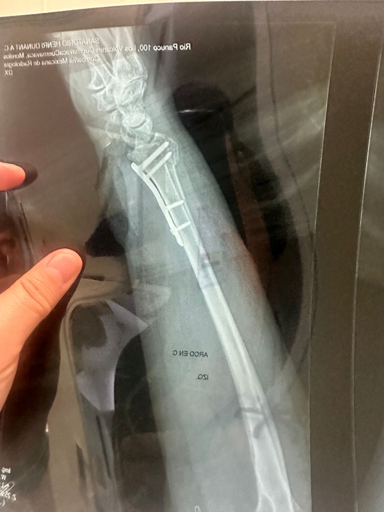 José Miguel Montiel Rojas-5