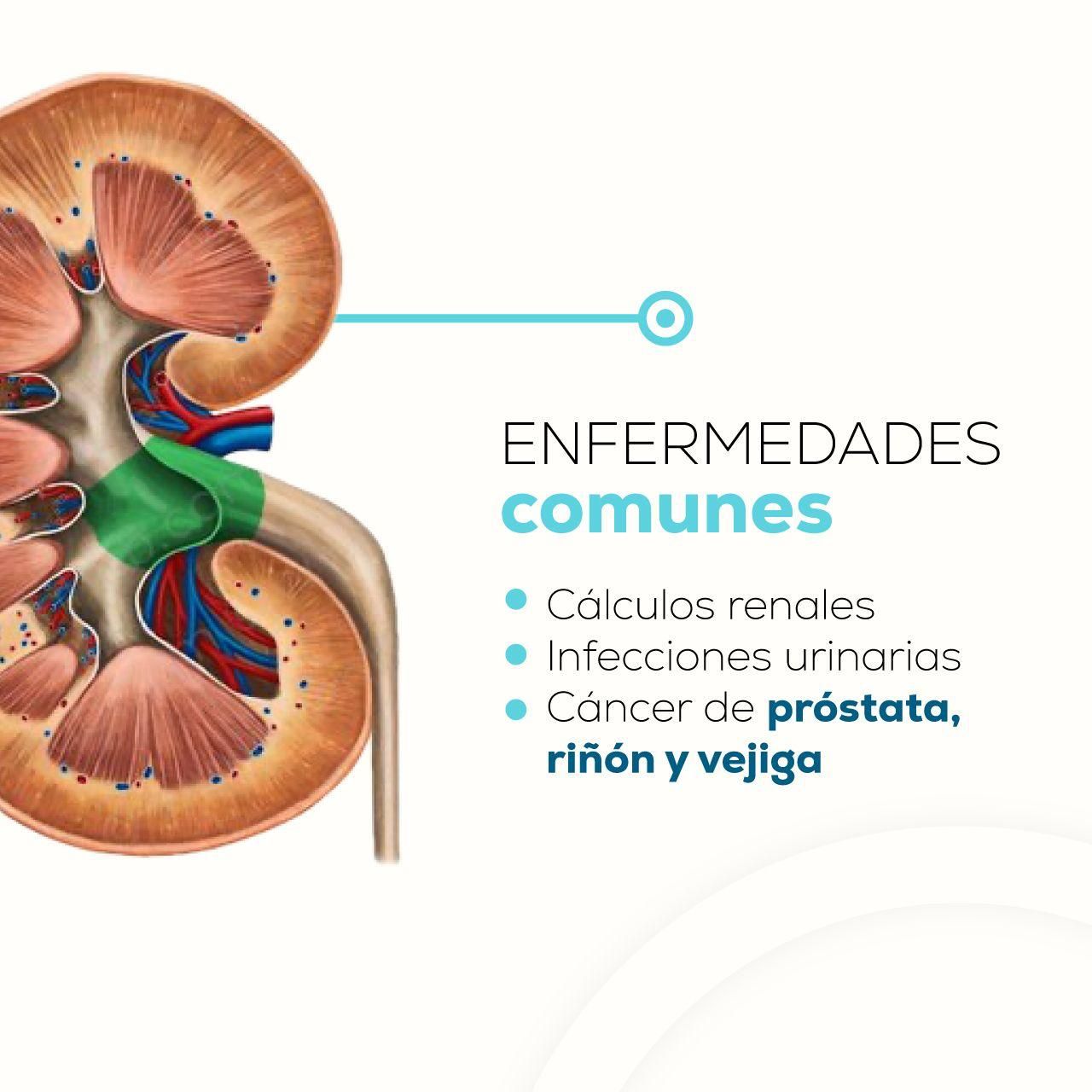 Gerardo R. De Lucas González-8