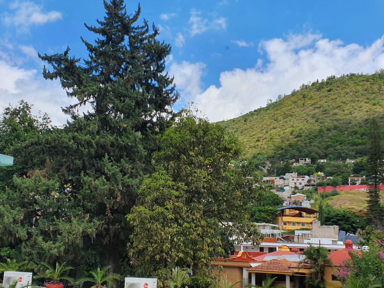 Indra Ferrara Belart-5