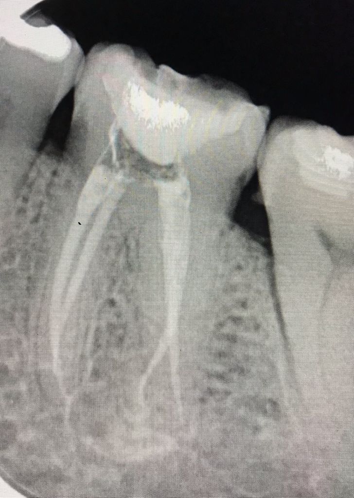 Lizzie Ibarra Domínguez-2