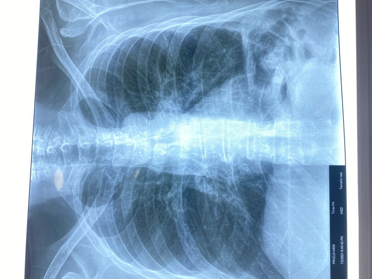 Carlos Gómez Guzmán-15