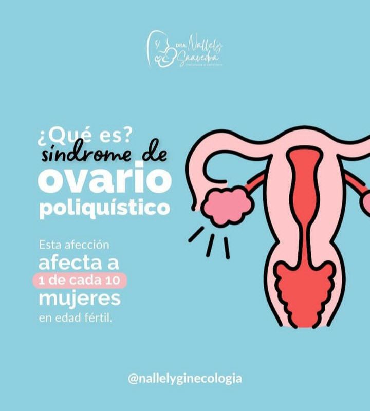 Claudia Nallely Saavedra Valdez-8