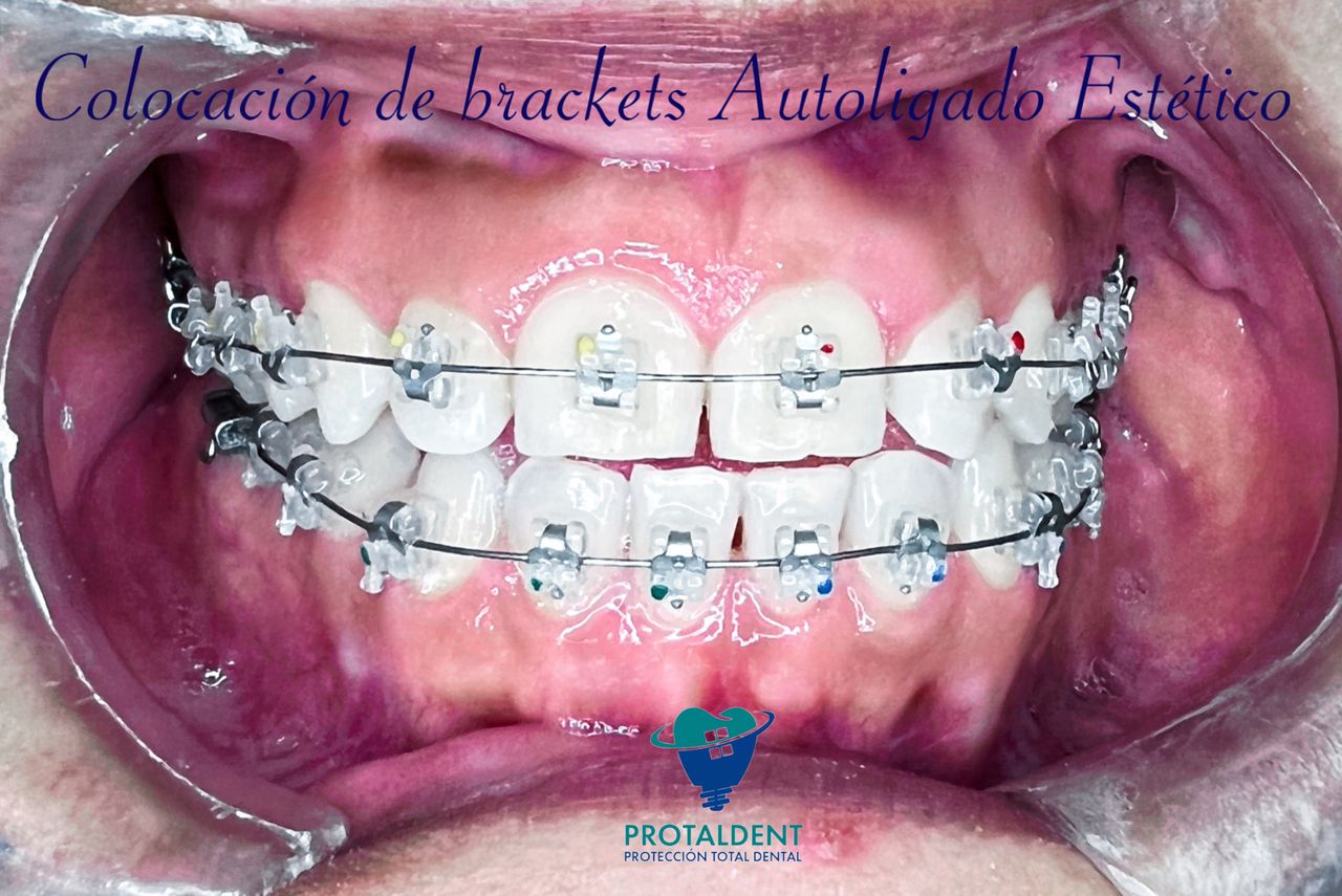 Sofia Faride Padilla Baruqui-9