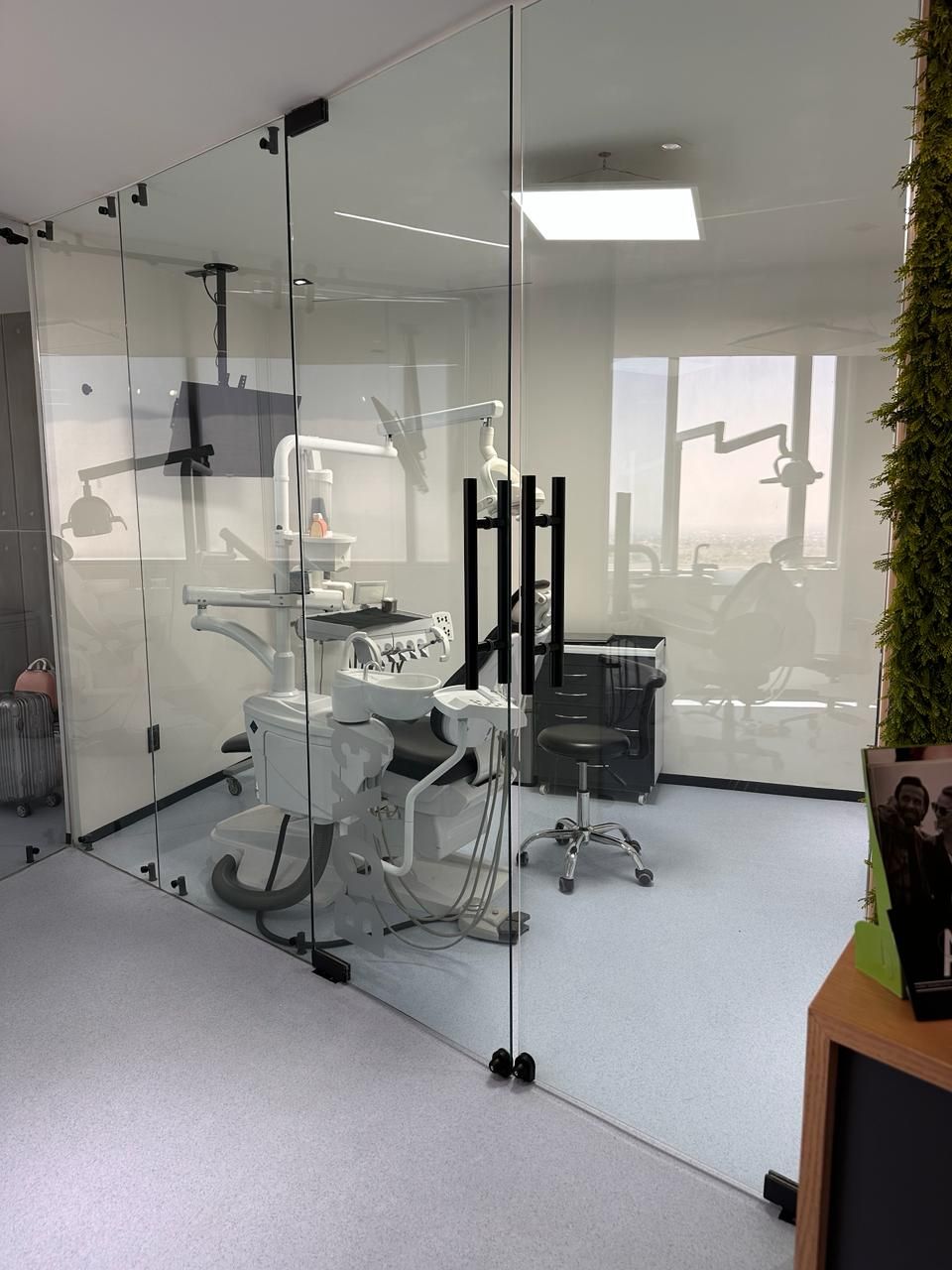 Guadalupe Armillas Canseco-1