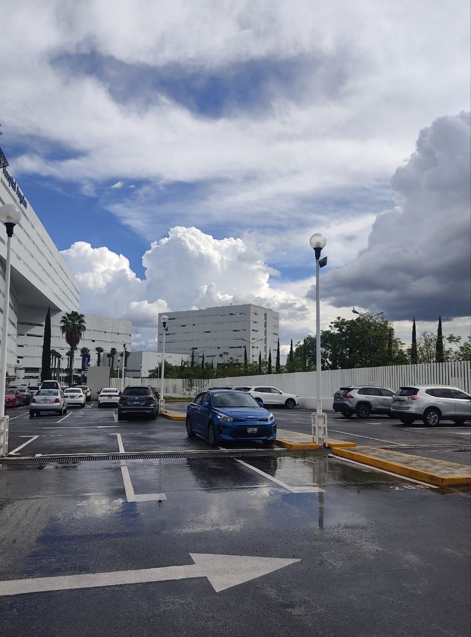 Etsel Camargo Romero-7