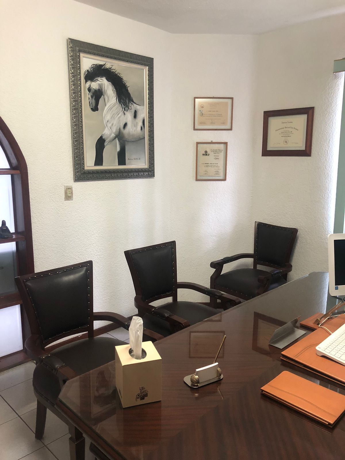 Armando Ceballos Oliva-0