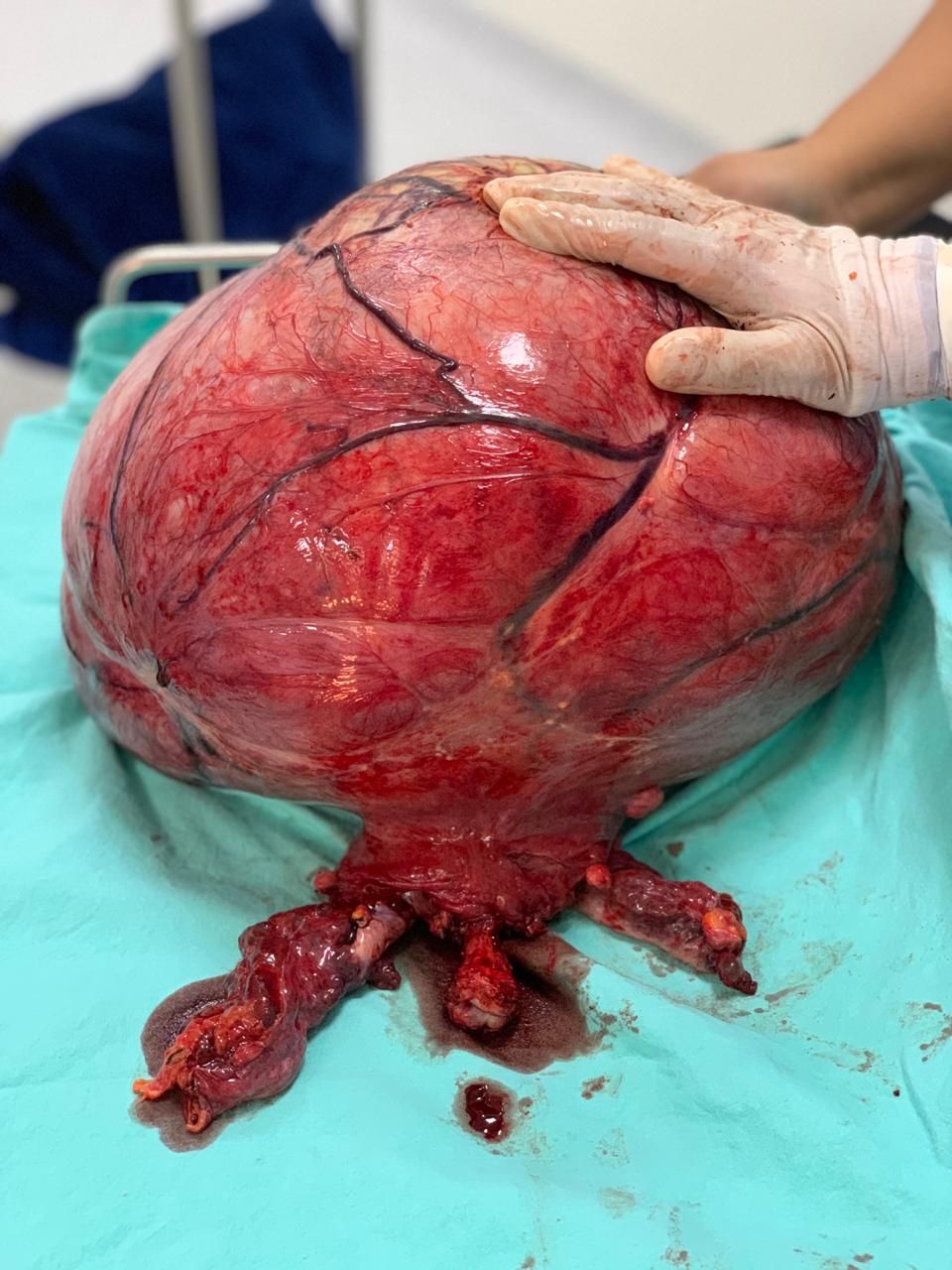 César Espejel Valdés-21