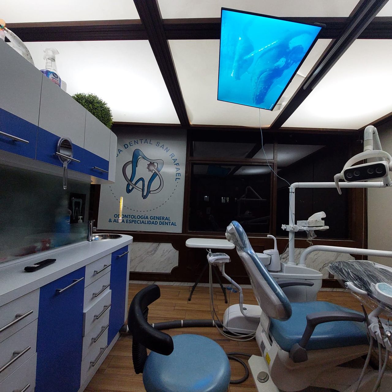 Javier Noriega Flores-13