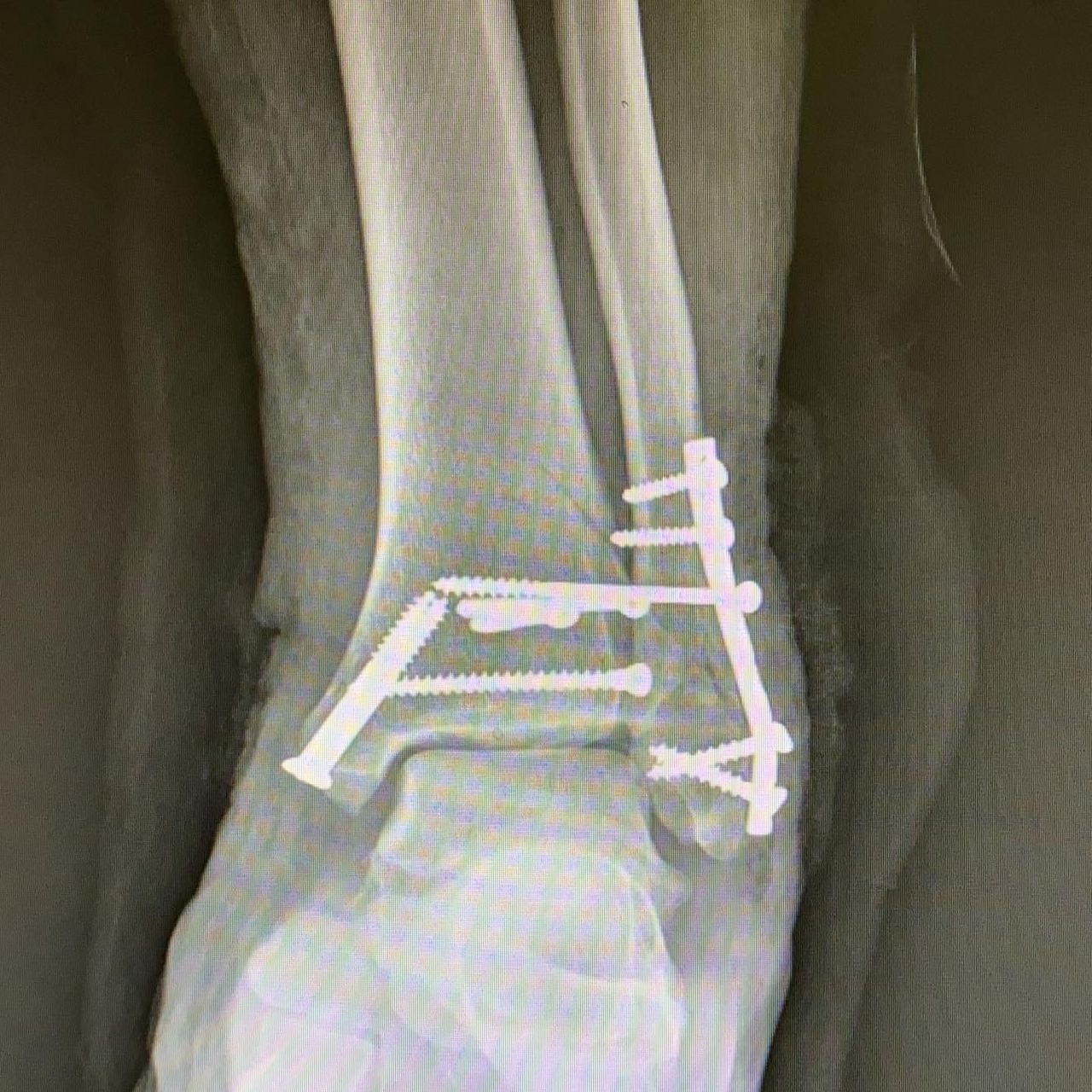 Jesus Armando Silvestre Guzman-2