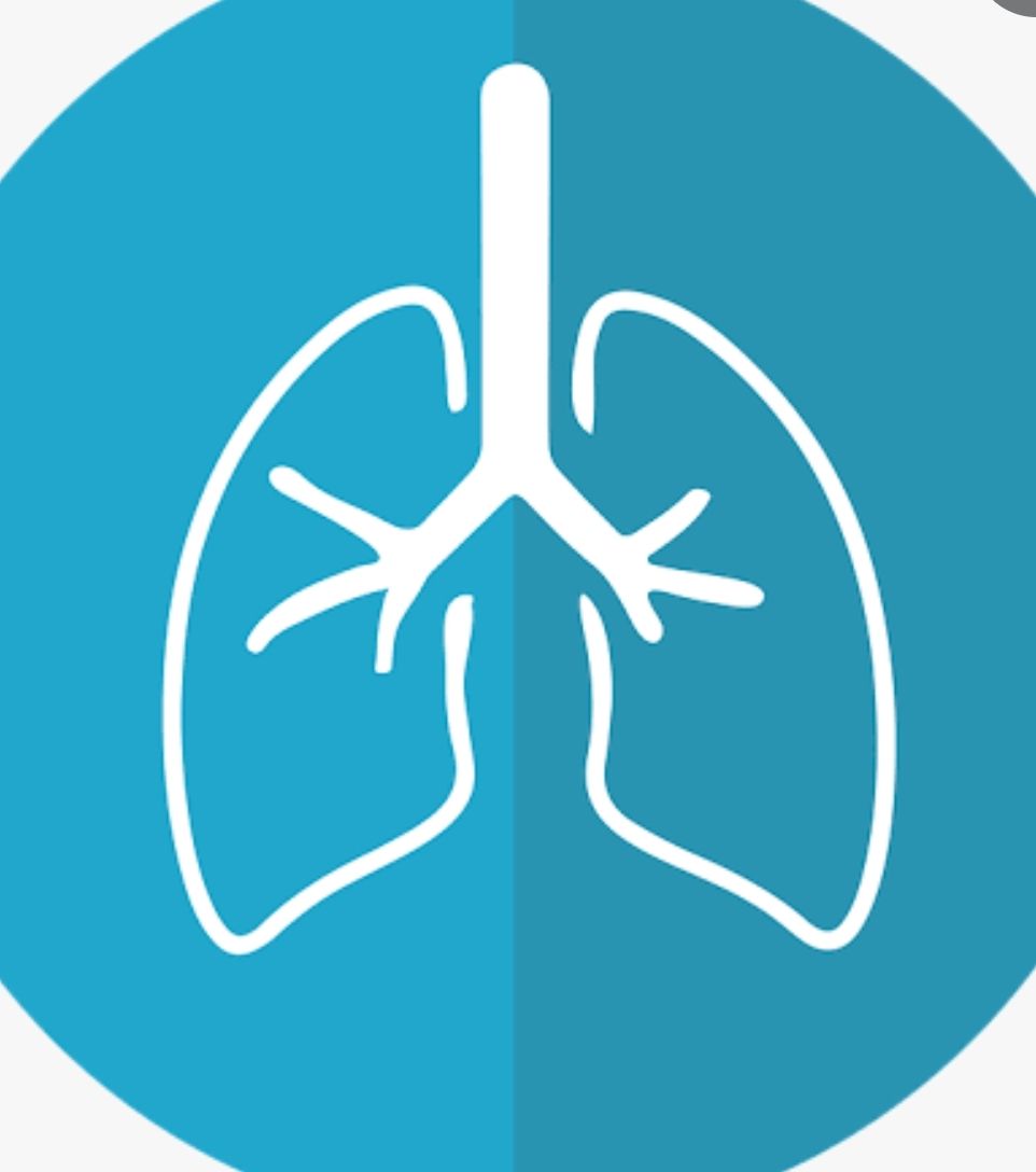 Mario Alberto Mora Sagrero-27