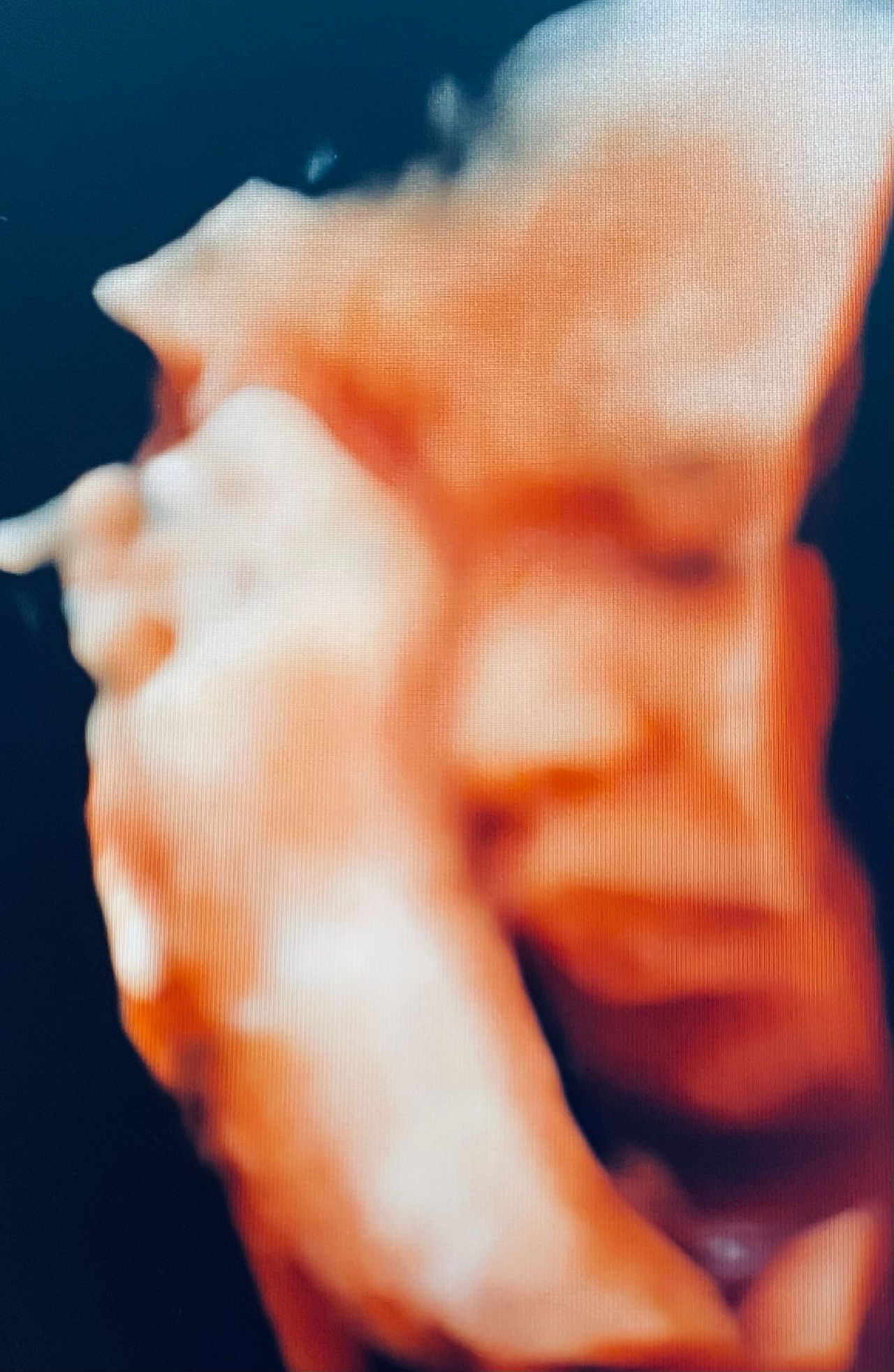 Lorena Terrazas Rios-0