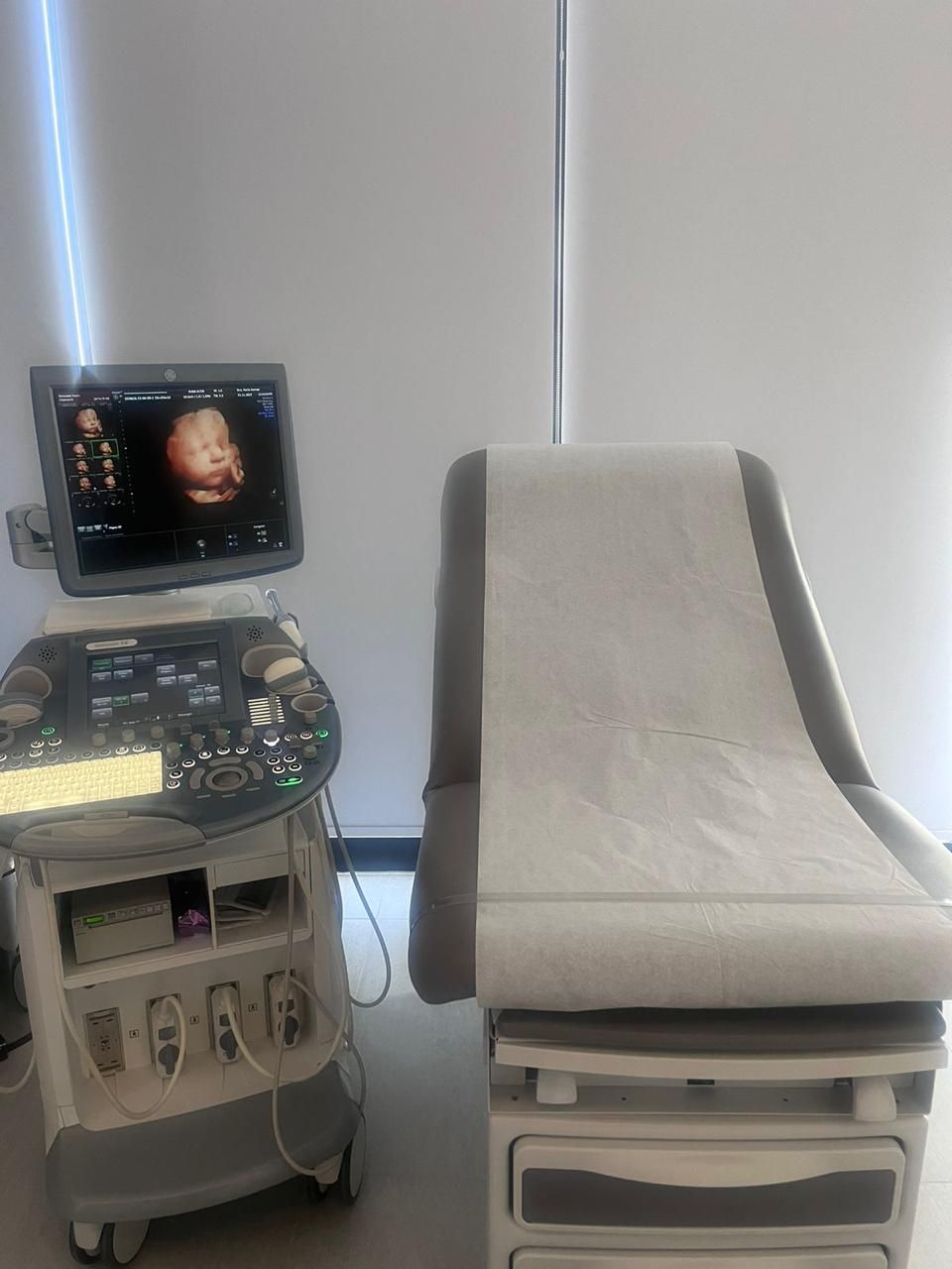 Perla Gómez Torres-1