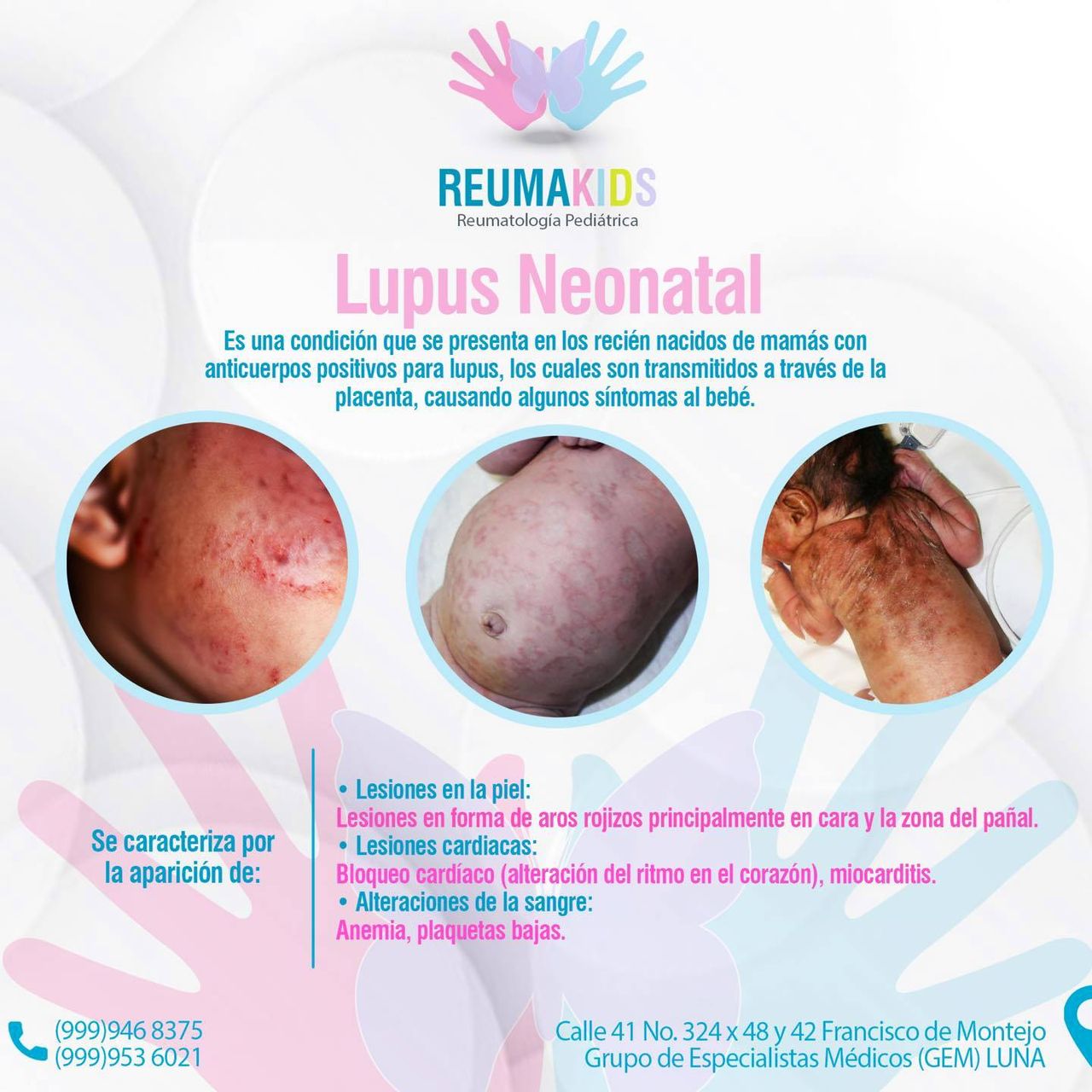 Andrés Noé Rodríguez García-11