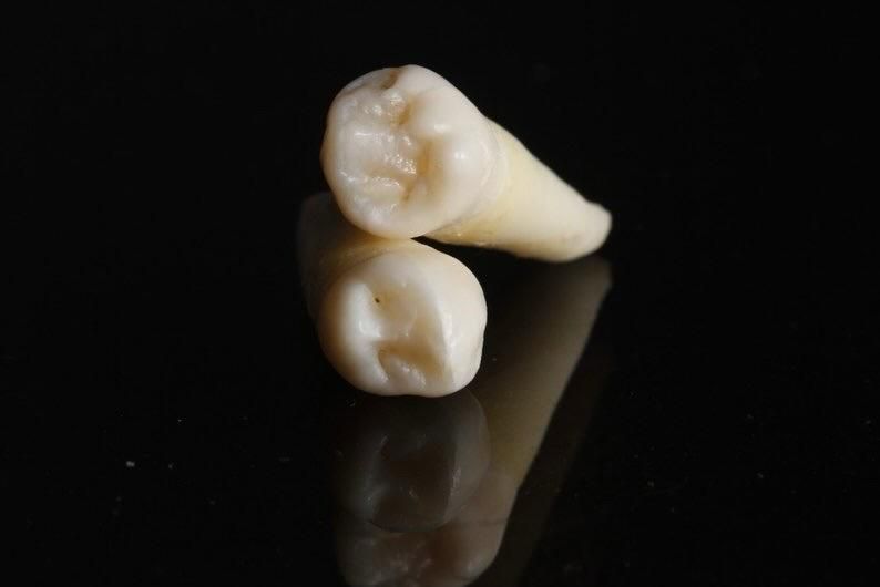 Eduardo Manuel Hernández Raymundo-2