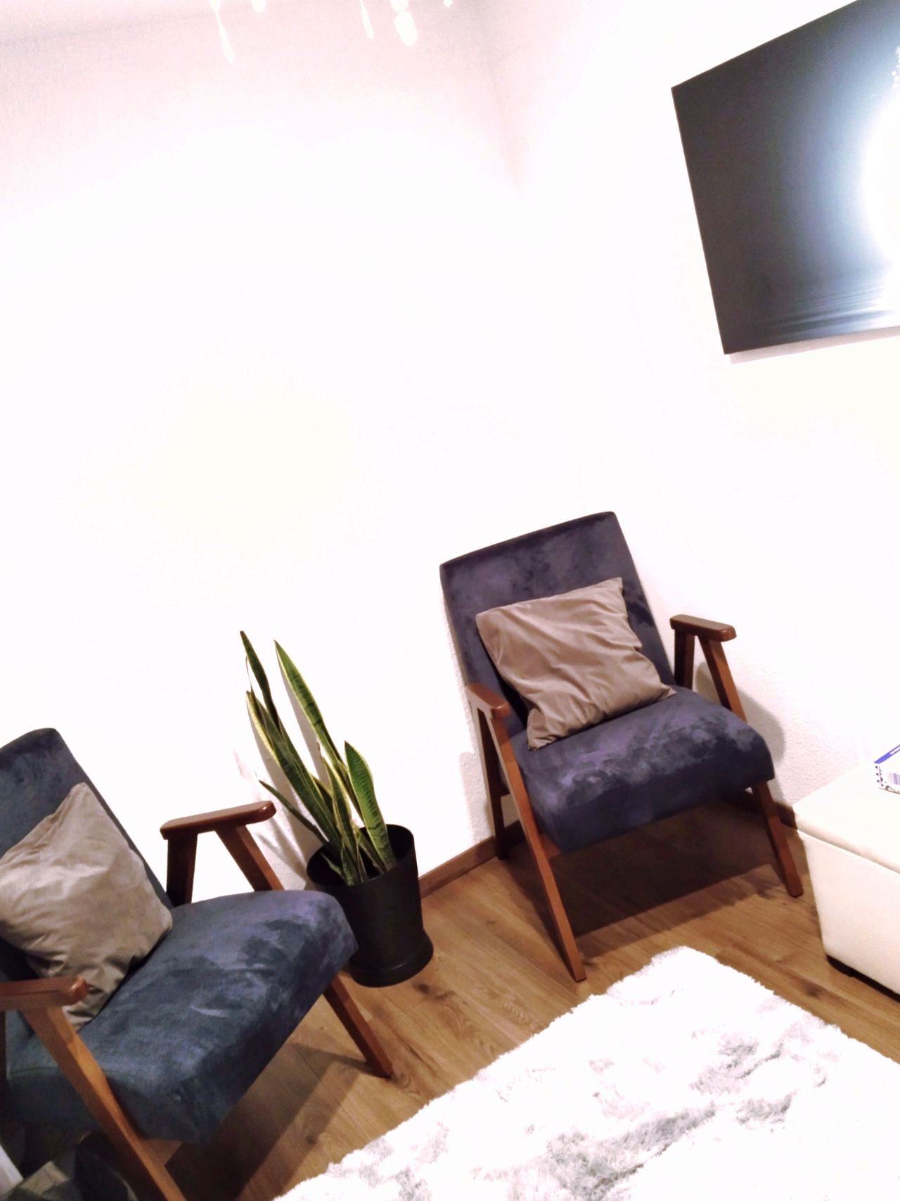 Diana González Gutiérrez-2