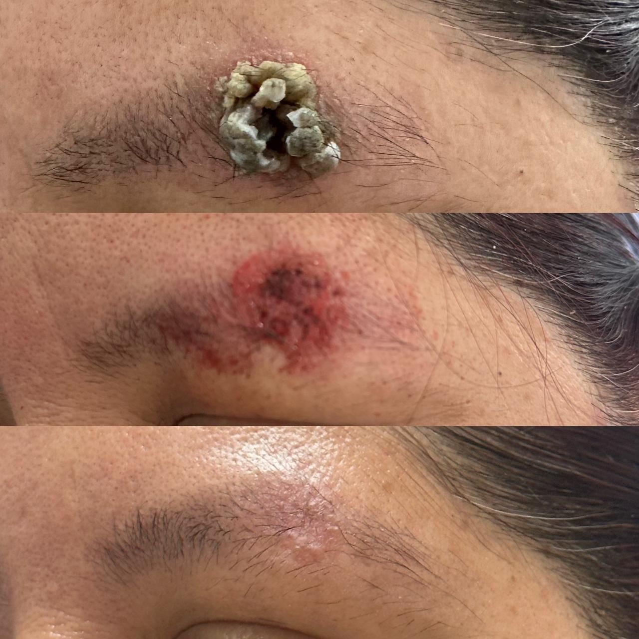 Thelma Laura Orizaga Y Quiroga-14