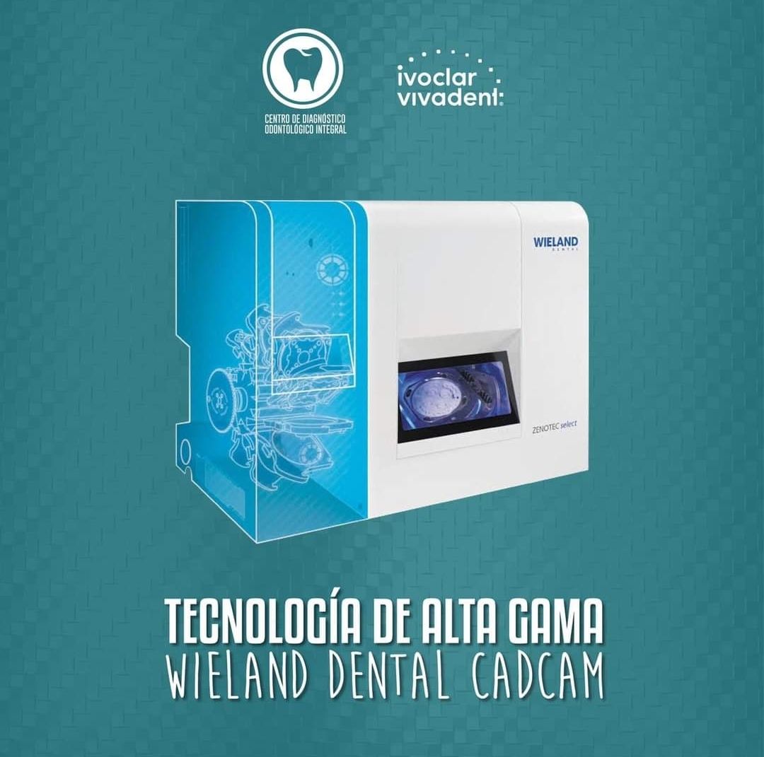 Laura Angélica Rodriguez Rodriguez-14