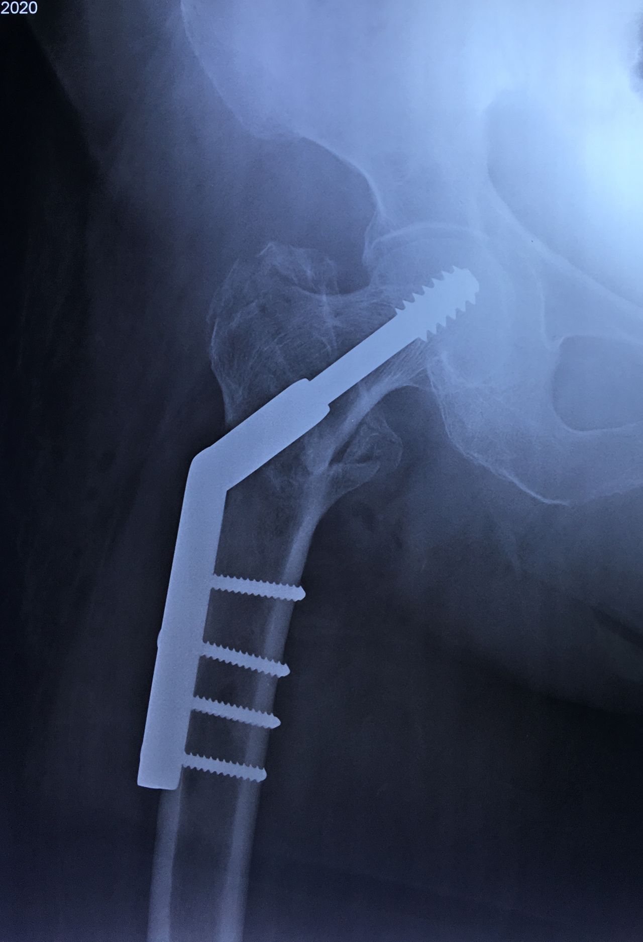 Jorge Zambada Loera-3