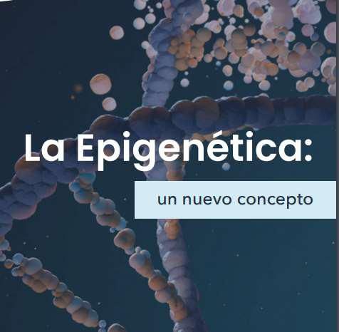 Luz María Paola Castillo Villalón-1