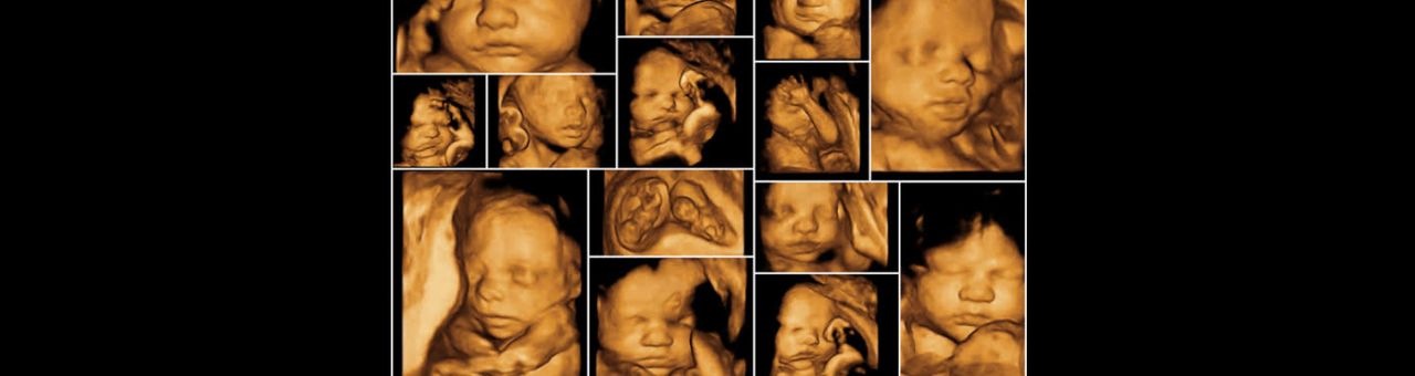 Roberto Chaparro Mejía-6