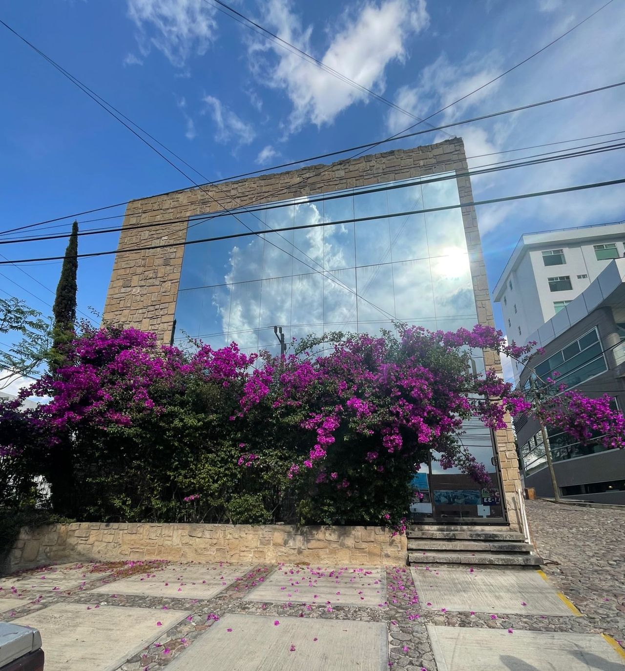 Alejandra Garcia Ponce-3