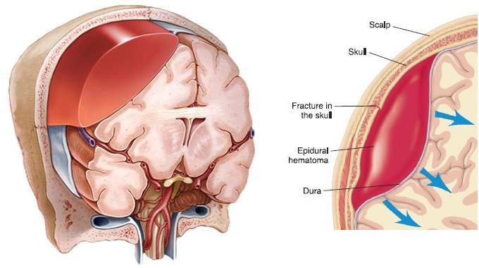 Roberto Gomez Raygoza-16