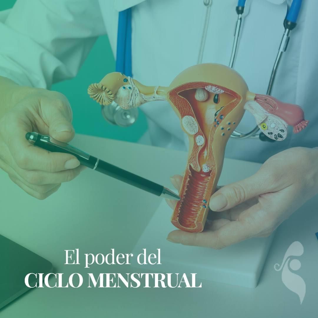 Gonzalo Hernández Martínez-56