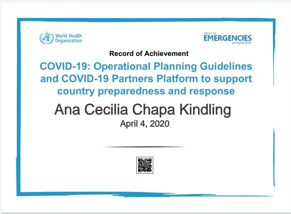 Ana Cecilia Chapa Kindling-35