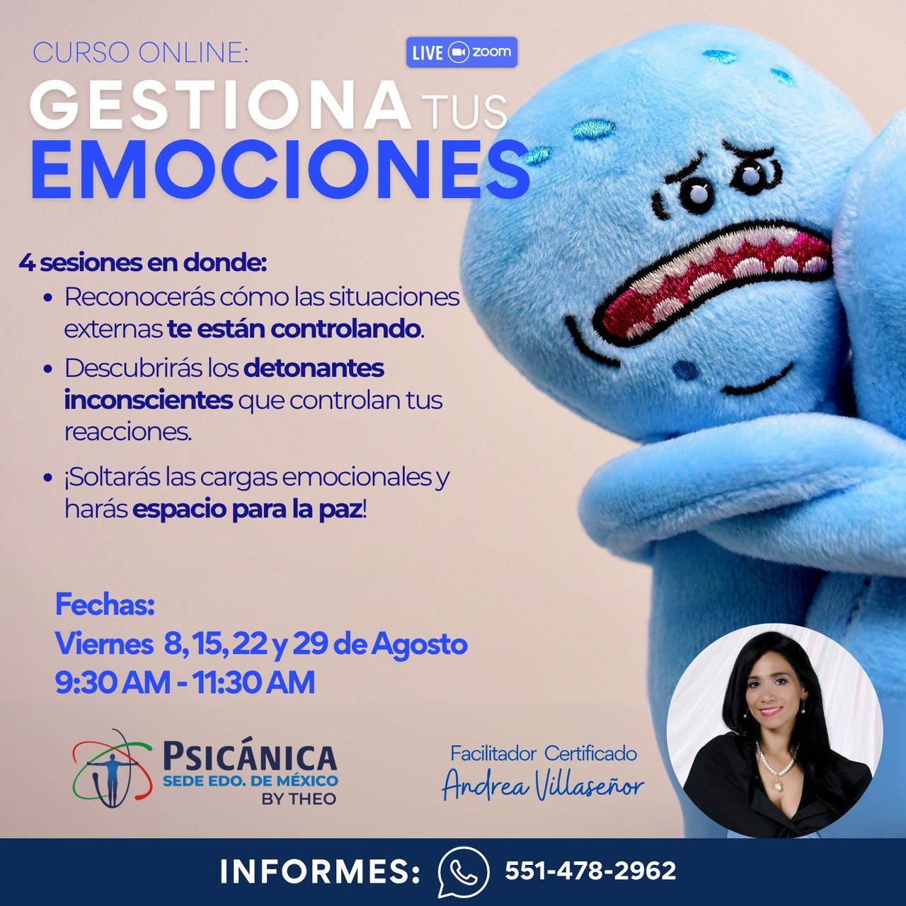 Andrea Viviana Villaseñor Jimenez-3