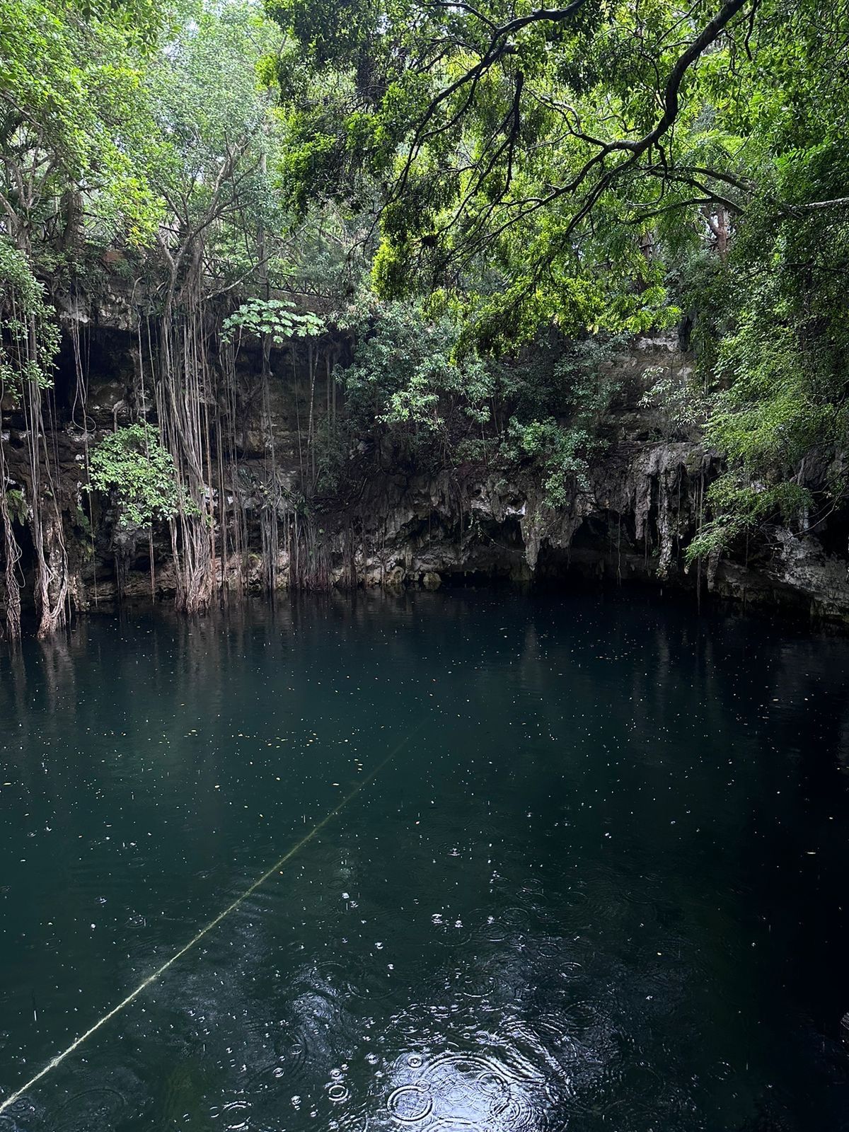 Jesus Manuel Gonzalez-11