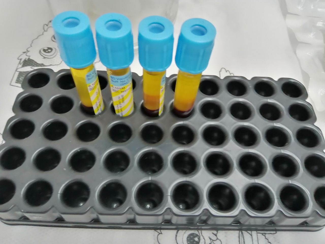 Nora Nelly Ramírez Brondo-4