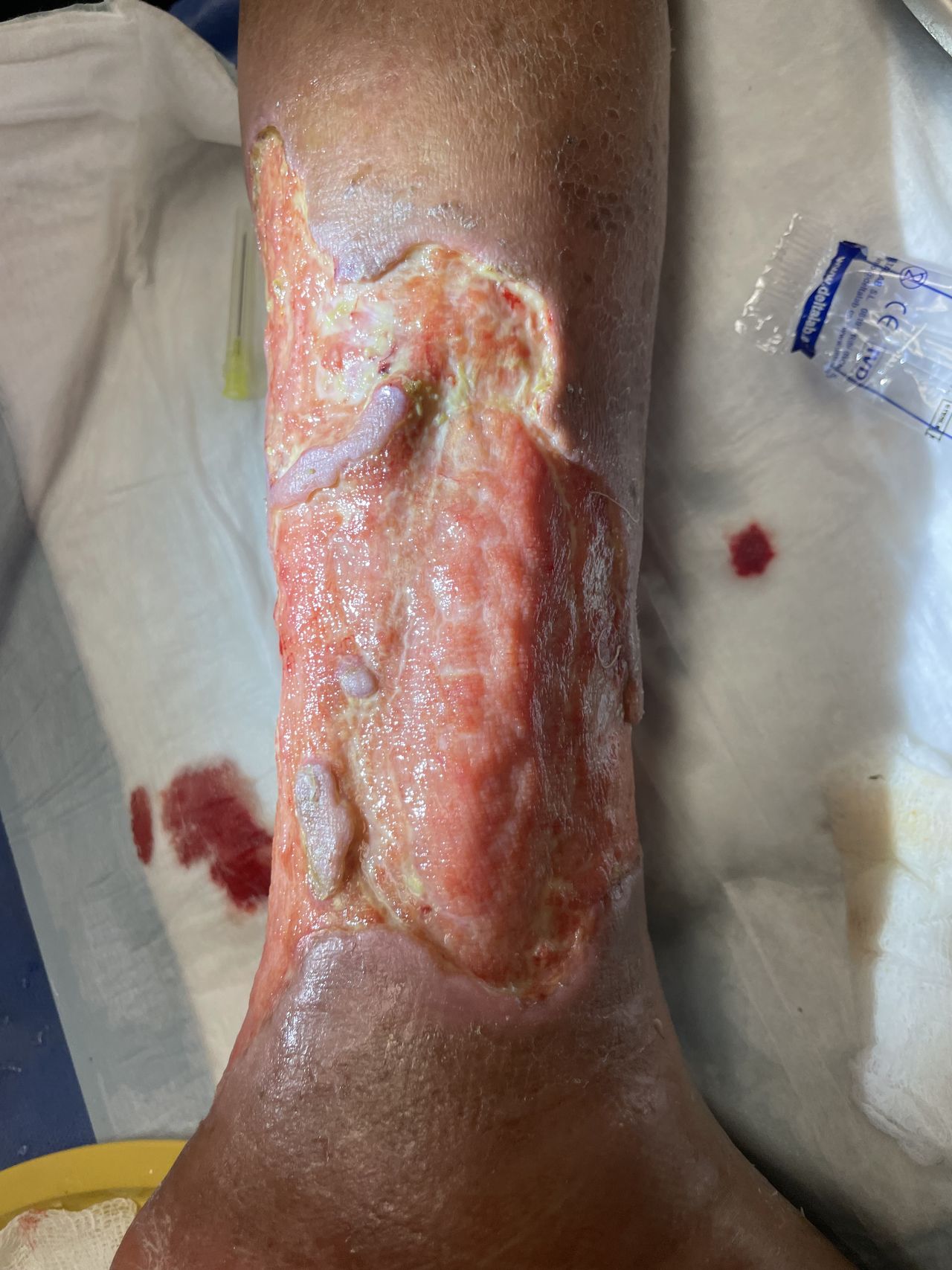 Susana Contreras Reyes-5