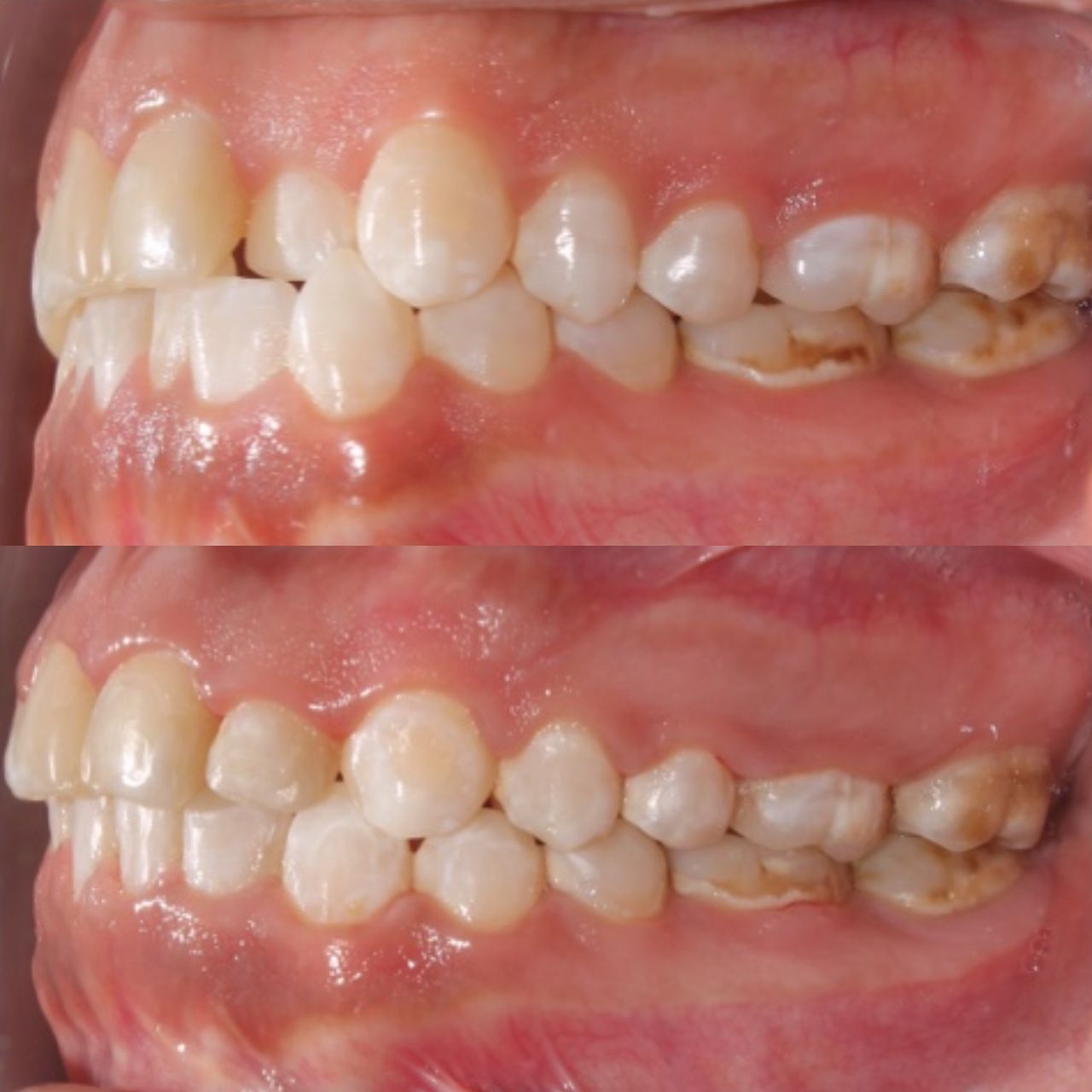 Maria José Hernández Moreno-3