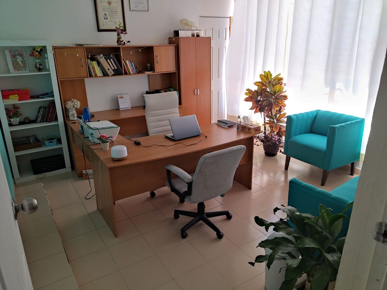 Elizabeth Pizarro Hernández-4